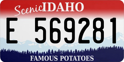 ID license plate E569281