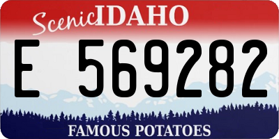 ID license plate E569282