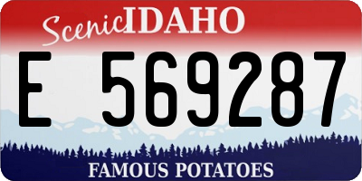 ID license plate E569287