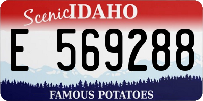 ID license plate E569288