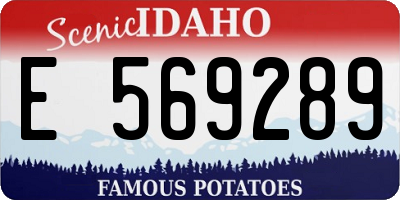 ID license plate E569289