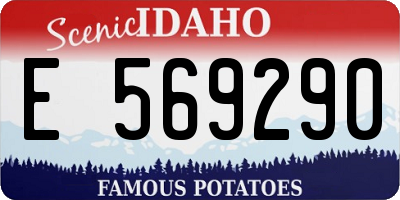 ID license plate E569290