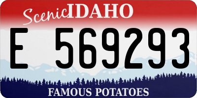ID license plate E569293