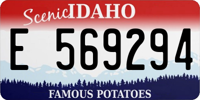 ID license plate E569294