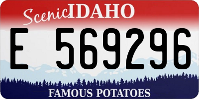 ID license plate E569296