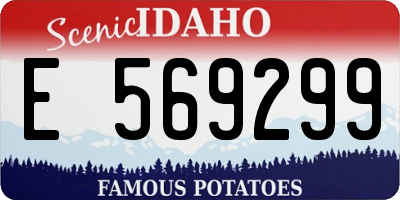 ID license plate E569299