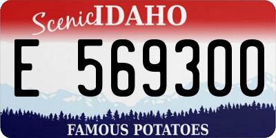 ID license plate E569300