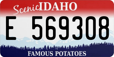 ID license plate E569308