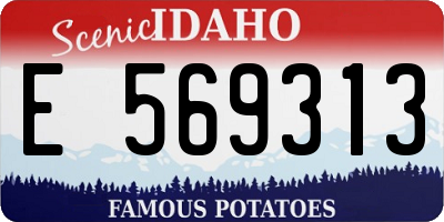 ID license plate E569313