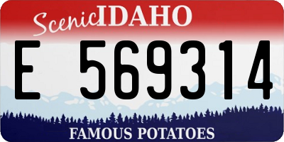 ID license plate E569314