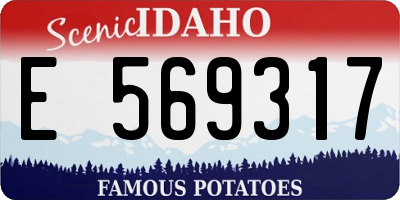 ID license plate E569317