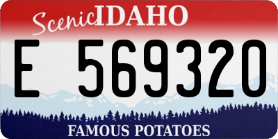 ID license plate E569320