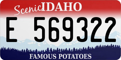 ID license plate E569322