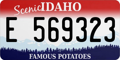 ID license plate E569323