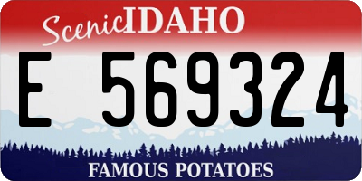 ID license plate E569324