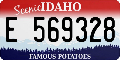 ID license plate E569328