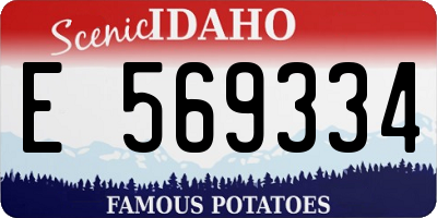 ID license plate E569334