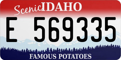 ID license plate E569335