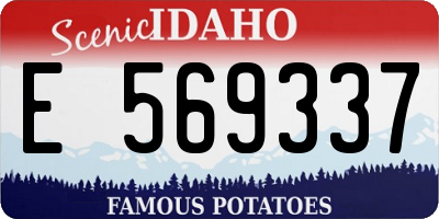ID license plate E569337