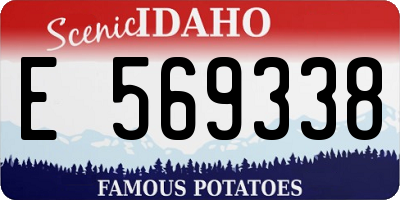 ID license plate E569338