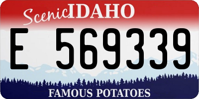 ID license plate E569339