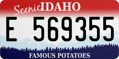 ID license plate E569355