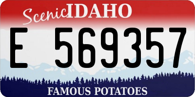 ID license plate E569357