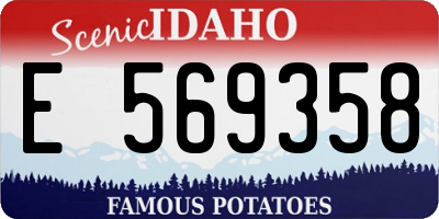 ID license plate E569358