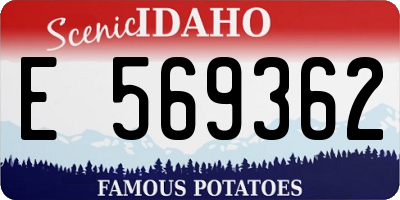 ID license plate E569362