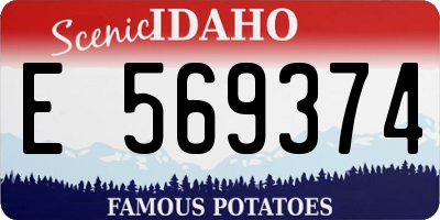 ID license plate E569374