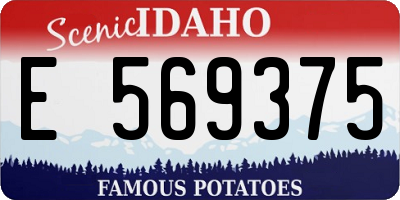 ID license plate E569375