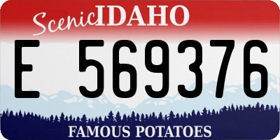 ID license plate E569376