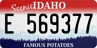 ID license plate E569377