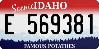 ID license plate E569381