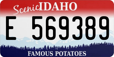 ID license plate E569389