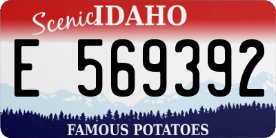 ID license plate E569392