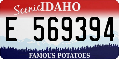 ID license plate E569394