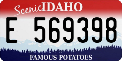 ID license plate E569398