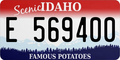 ID license plate E569400