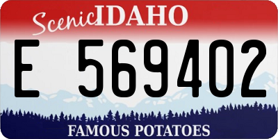 ID license plate E569402
