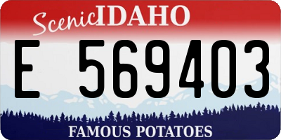 ID license plate E569403