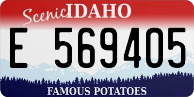 ID license plate E569405