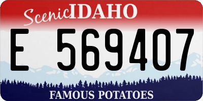 ID license plate E569407