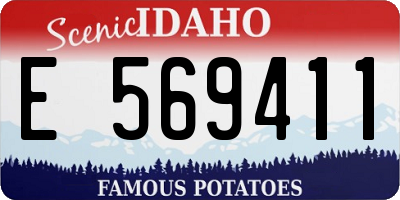 ID license plate E569411