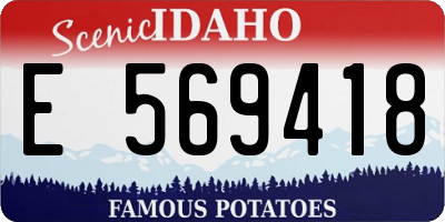 ID license plate E569418