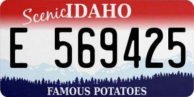 ID license plate E569425