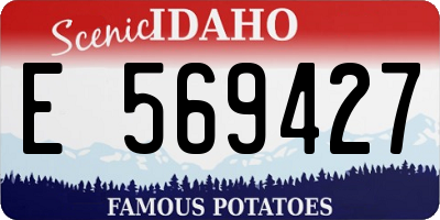 ID license plate E569427