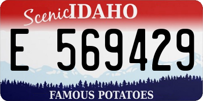 ID license plate E569429