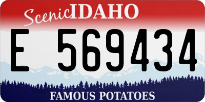 ID license plate E569434