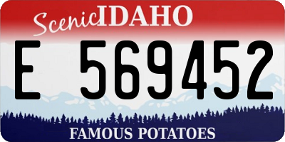 ID license plate E569452